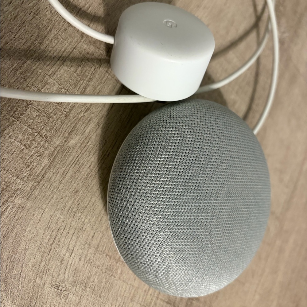 Google Smart Speaker in Gray and White